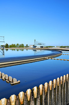 業(yè)務(wù)特色